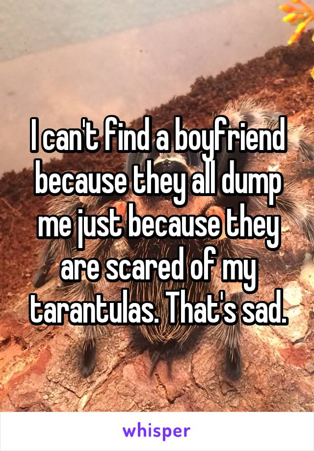 I can't find a boyfriend because they all dump me just because they are scared of my tarantulas. That's sad.