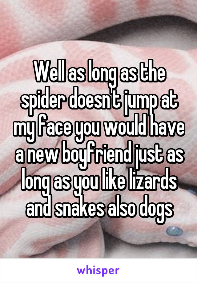 Well as long as the spider doesn't jump at my face you would have a new boyfriend just as long as you like lizards and snakes also dogs