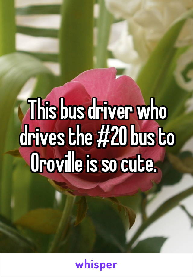 This bus driver who drives the #20 bus to Oroville is so cute.  