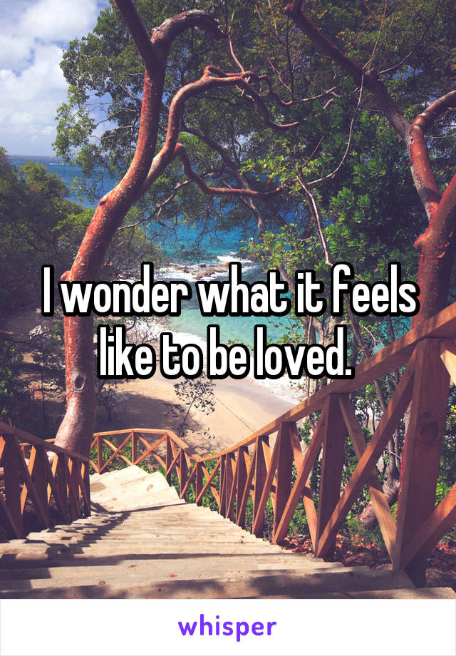 I wonder what it feels like to be loved. 