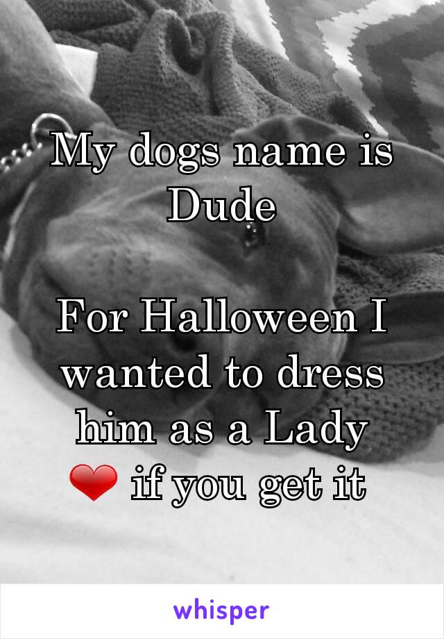 My dogs name is Dude

For Halloween I wanted to dress him as a Lady
❤ if you get it 