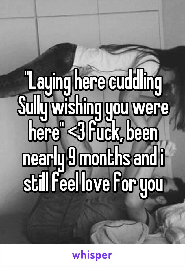 "Laying here cuddling Sully wishing you were here" <3 fuck, been nearly 9 months and i still feel love for you