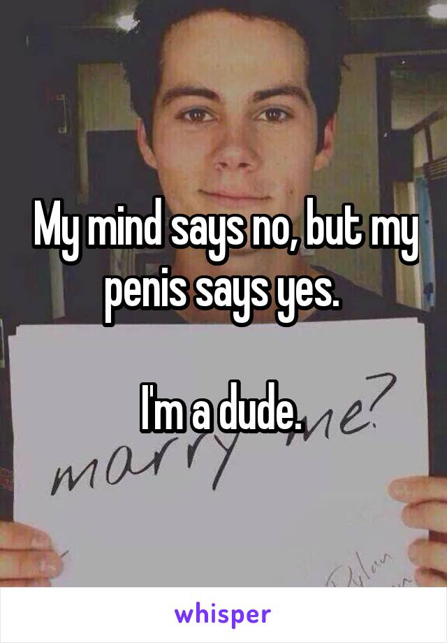 My mind says no, but my penis says yes. 

I'm a dude. 