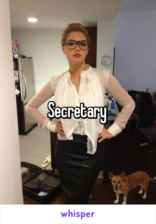 Secretary 