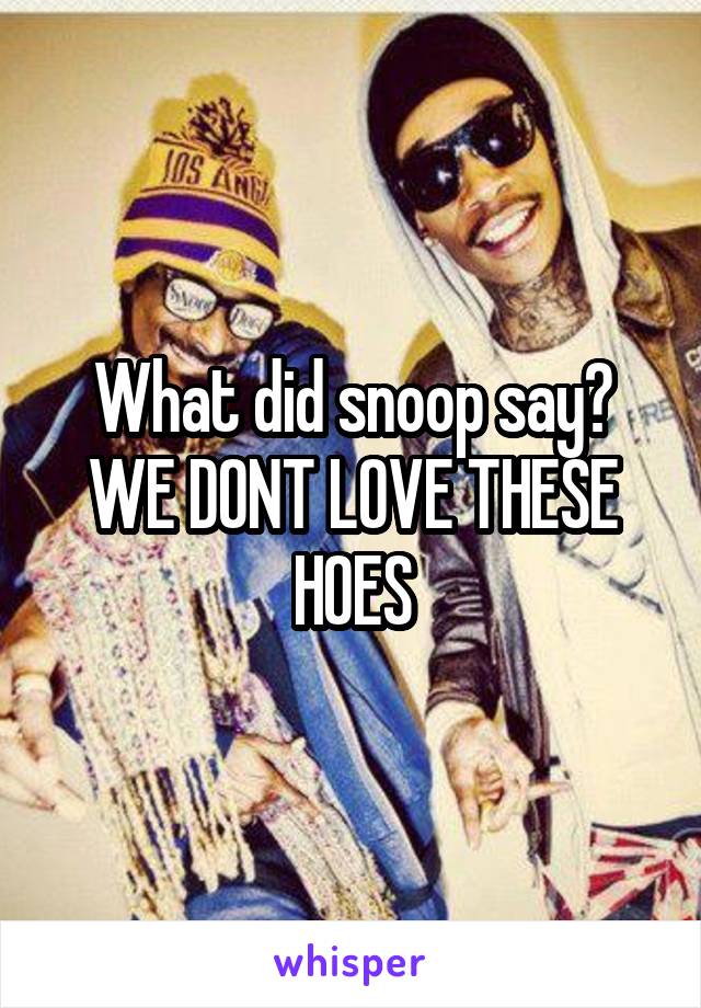 What did snoop say?
WE DONT LOVE THESE HOES