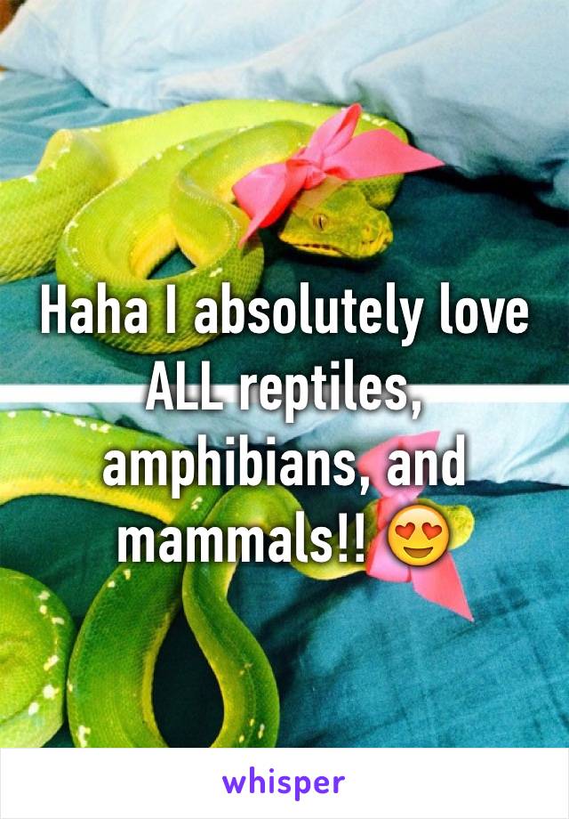 Haha I absolutely love ALL reptiles, amphibians, and mammals!! 😍
