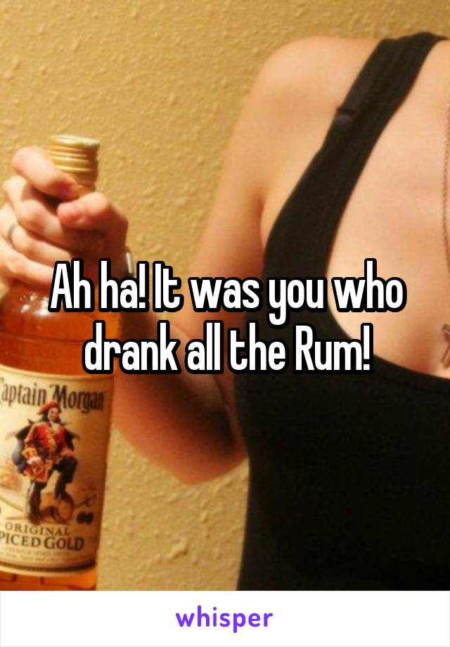 Ah ha! It was you who drank all the Rum!