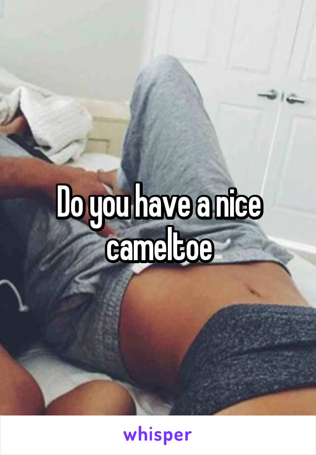 Do you have a nice cameltoe