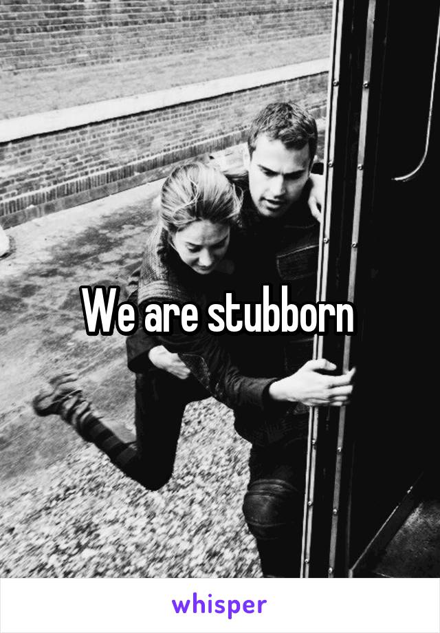 We are stubborn 