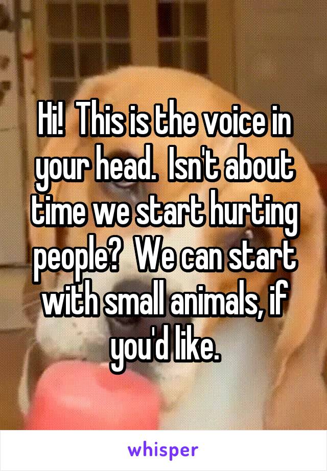 Hi!  This is the voice in your head.  Isn't about time we start hurting people?  We can start with small animals, if you'd like.