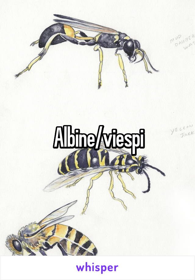 Albine/viespi