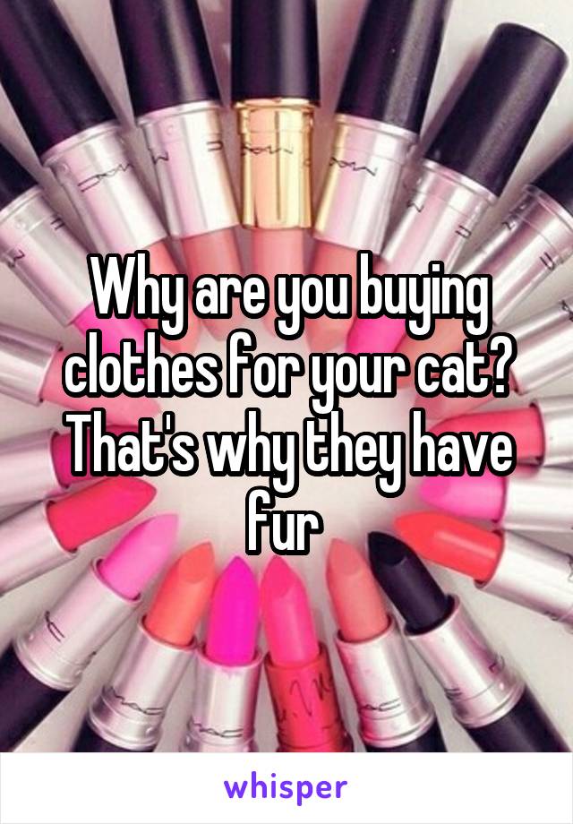 Why are you buying clothes for your cat? That's why they have fur 