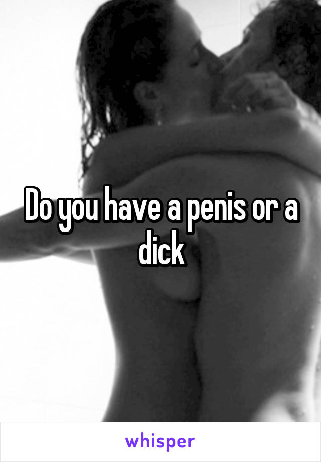 Do you have a penis or a dick