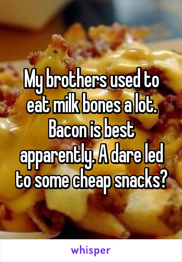 My brothers used to eat milk bones a lot. Bacon is best apparently. A dare led to some cheap snacks?