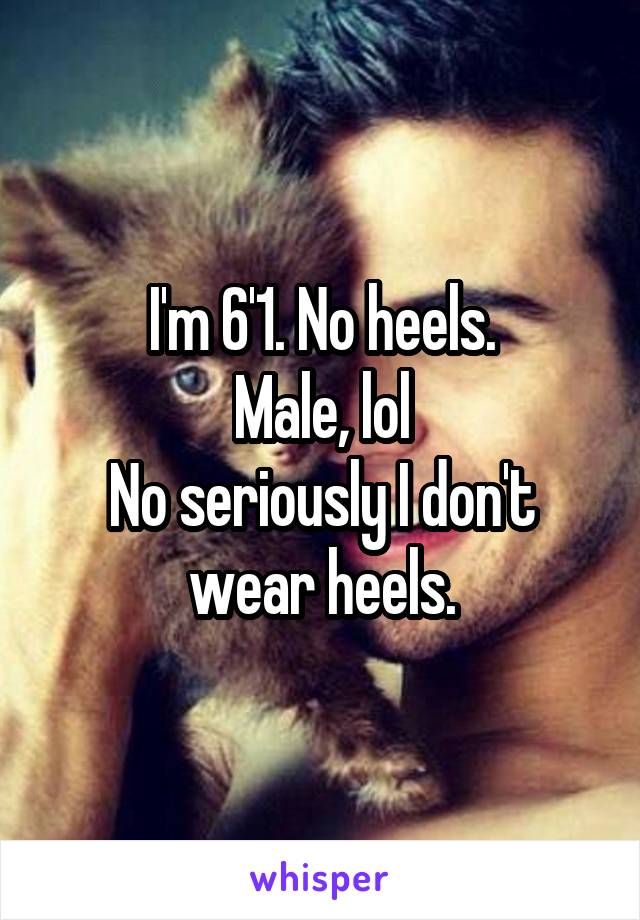I'm 6'1. No heels.
Male, lol
No seriously I don't wear heels.
