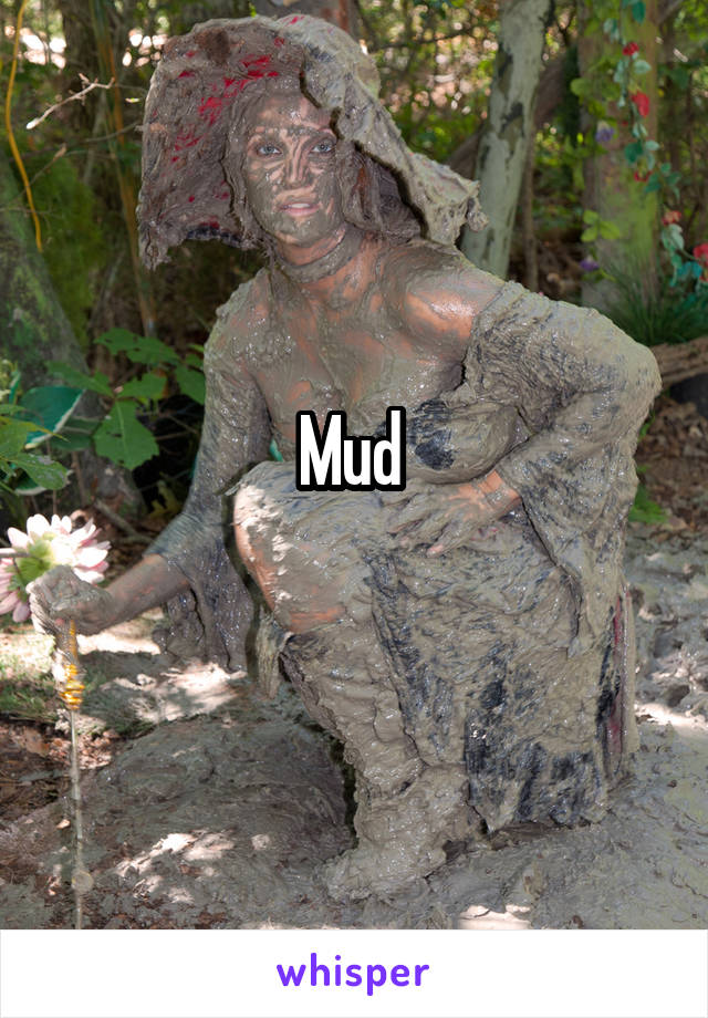 Mud 
