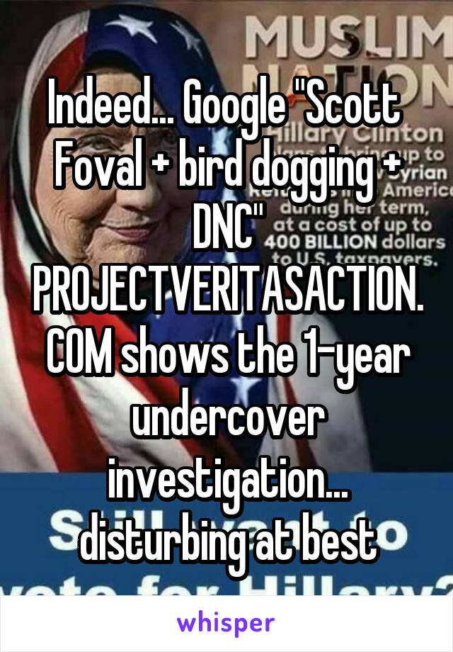 Indeed... Google "Scott  Foval + bird dogging + DNC" PROJECTVERITASACTION.COM shows the 1-year undercover investigation... disturbing at best