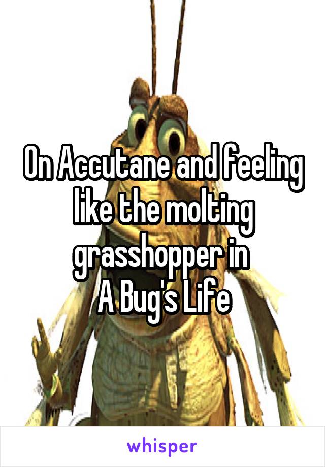 On Accutane and feeling like the molting grasshopper in 
A Bug's Life