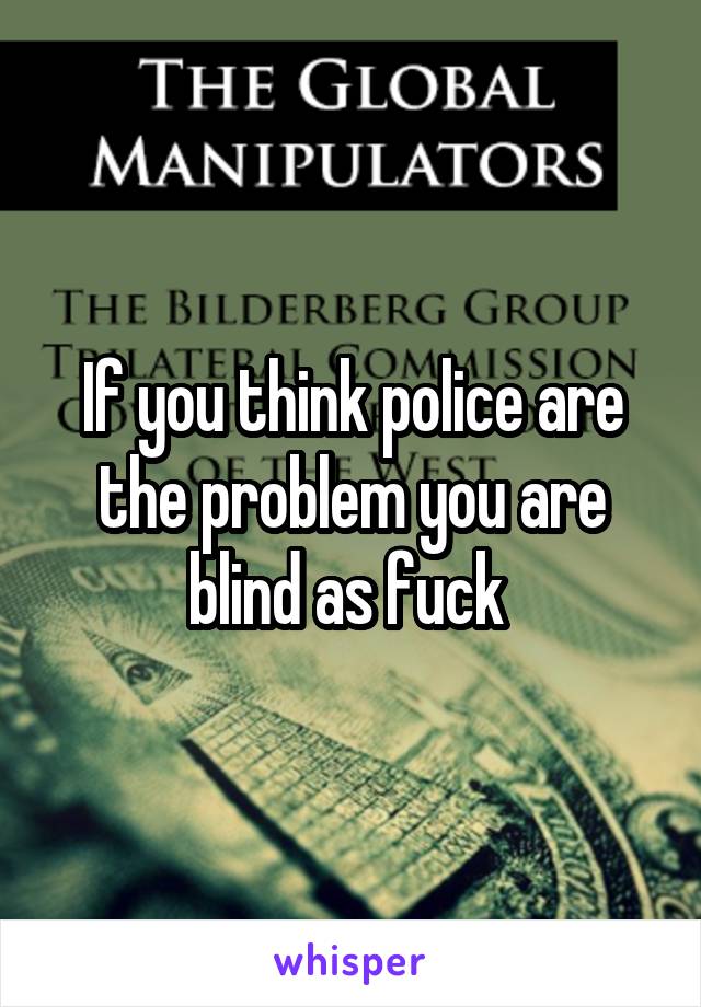 If you think police are the problem you are blind as fuck 