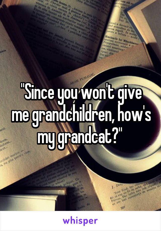 "Since you won't give me grandchildren, how's my grandcat?" 