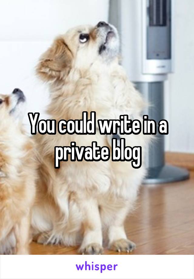 You could write in a private blog