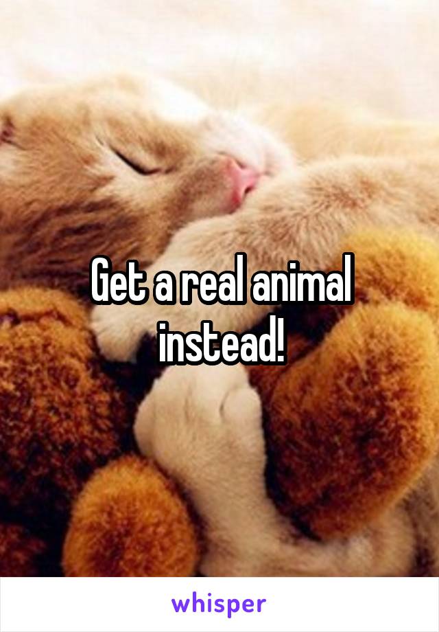 Get a real animal instead!