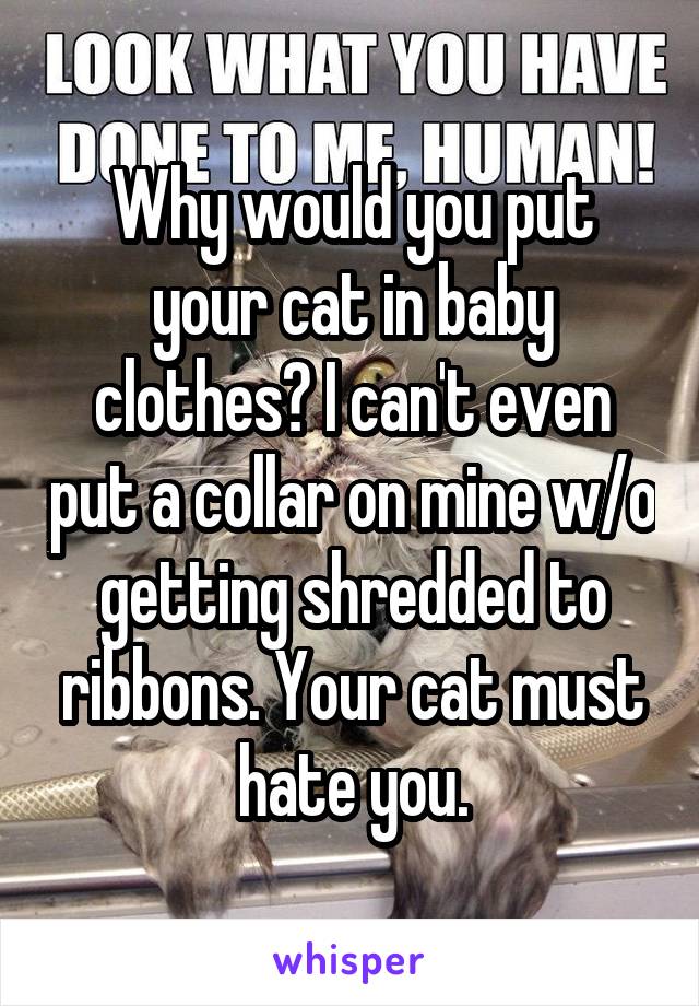 Why would you put your cat in baby clothes? I can't even put a collar on mine w/o getting shredded to ribbons. Your cat must hate you.