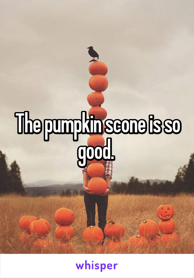 The pumpkin scone is so good. 