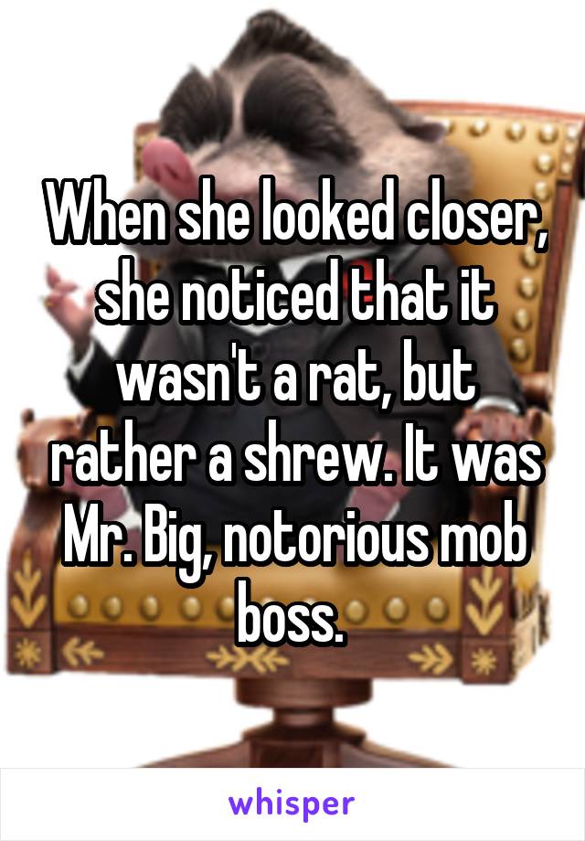 When she looked closer, she noticed that it wasn't a rat, but rather a shrew. It was Mr. Big, notorious mob boss. 