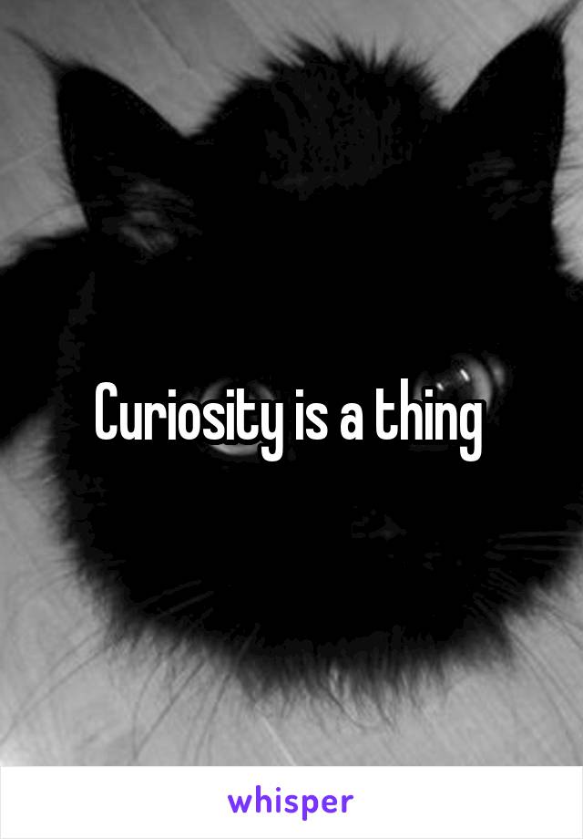 Curiosity is a thing 