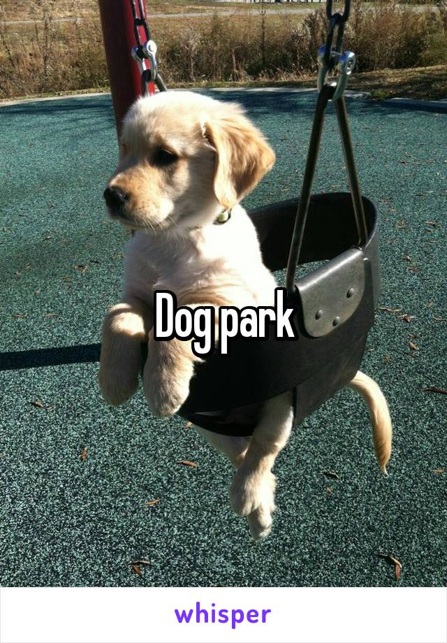 Dog park