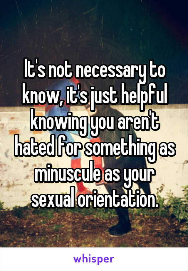 It's not necessary to know, it's just helpful knowing you aren't hated for something as minuscule as your sexual orientation.