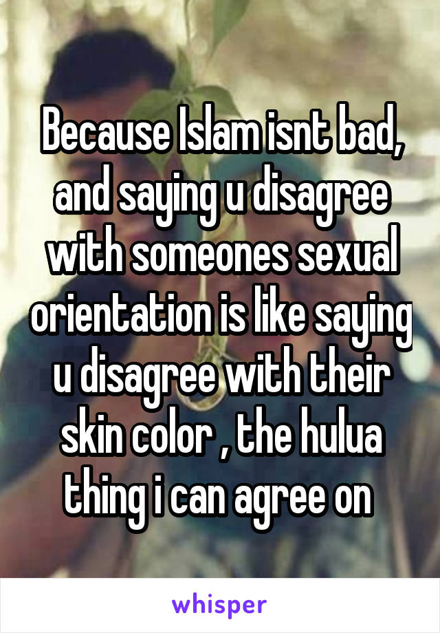 Because Islam isnt bad, and saying u disagree with someones sexual orientation is like saying u disagree with their skin color , the hulua thing i can agree on 