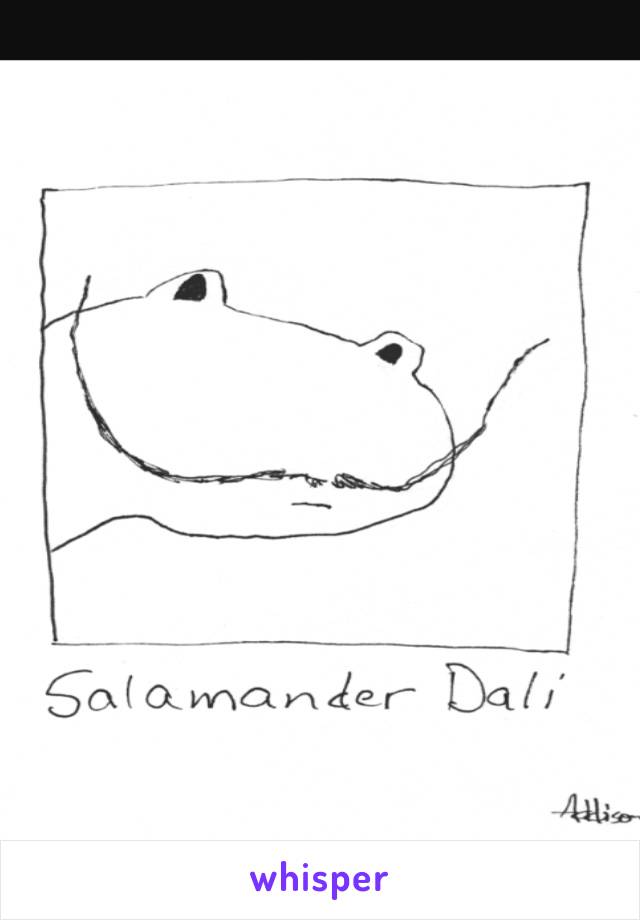 @SALAMANDER.DALI 