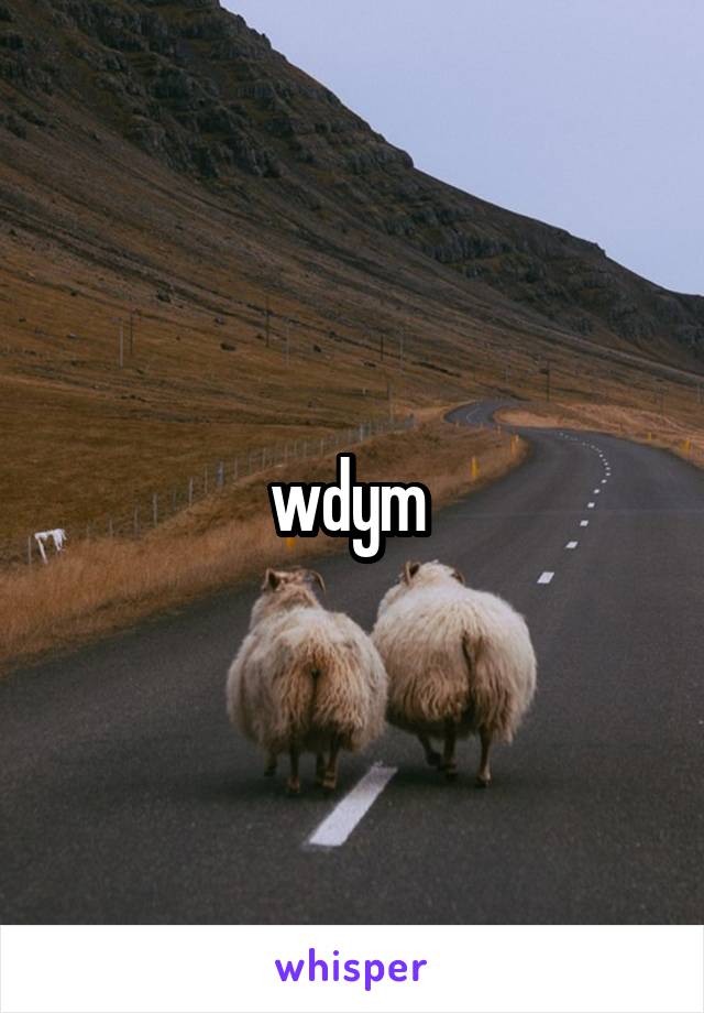 wdym 