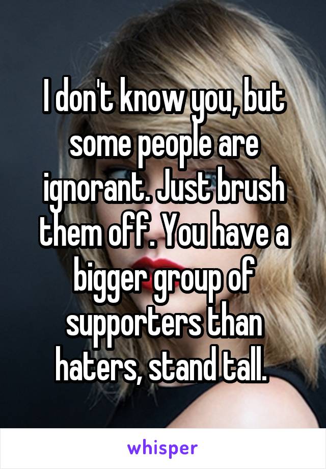 I don't know you, but some people are ignorant. Just brush them off. You have a bigger group of supporters than haters, stand tall. 