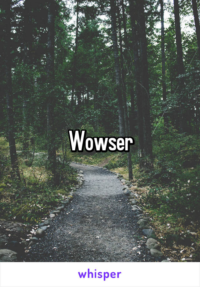 Wowser