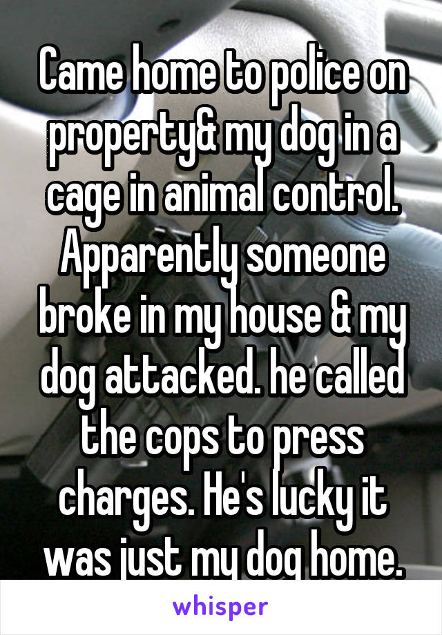 Came home to police on property& my dog in a cage in animal control. Apparently someone broke in my house & my dog attacked. he called the cops to press charges. He's lucky it was just my dog home.
