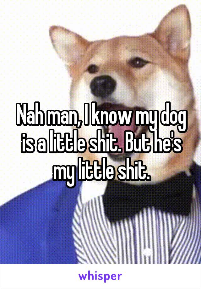 Nah man, I know my dog is a little shit. But he's my little shit.
