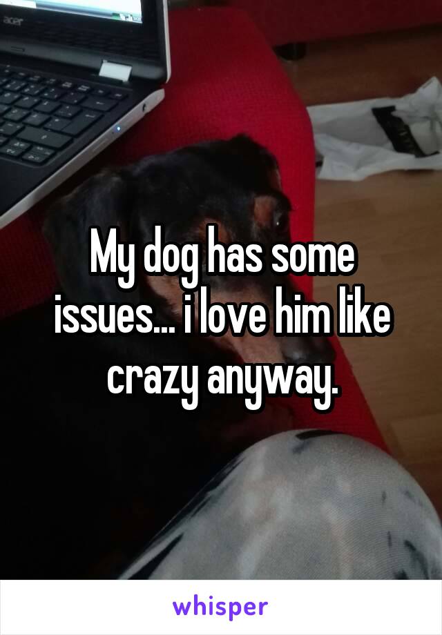 My dog has some issues... i love him like crazy anyway.