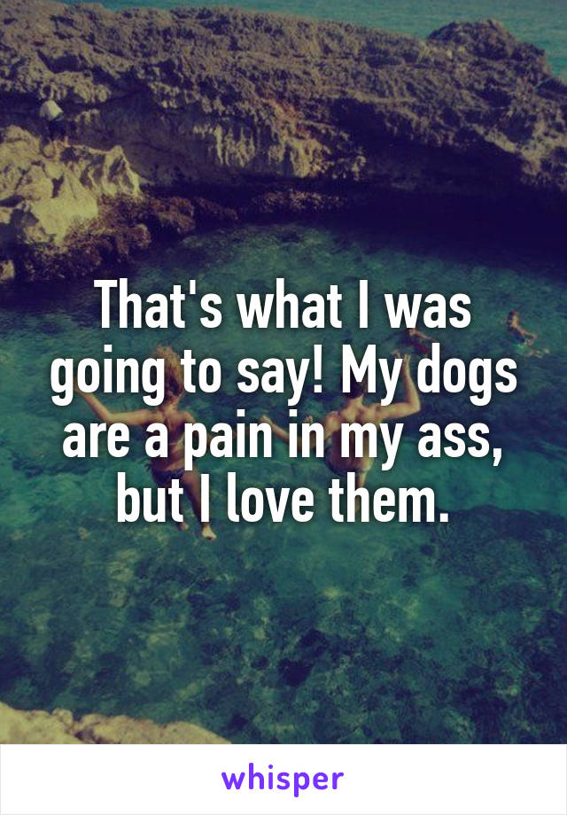 That's what I was going to say! My dogs are a pain in my ass, but I love them.