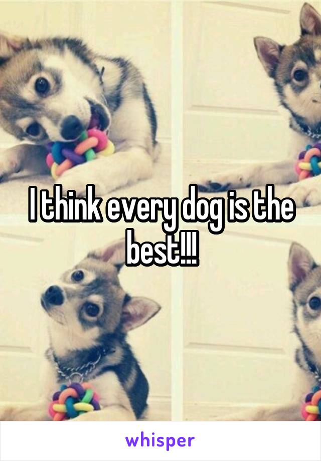I think every dog is the best!!!