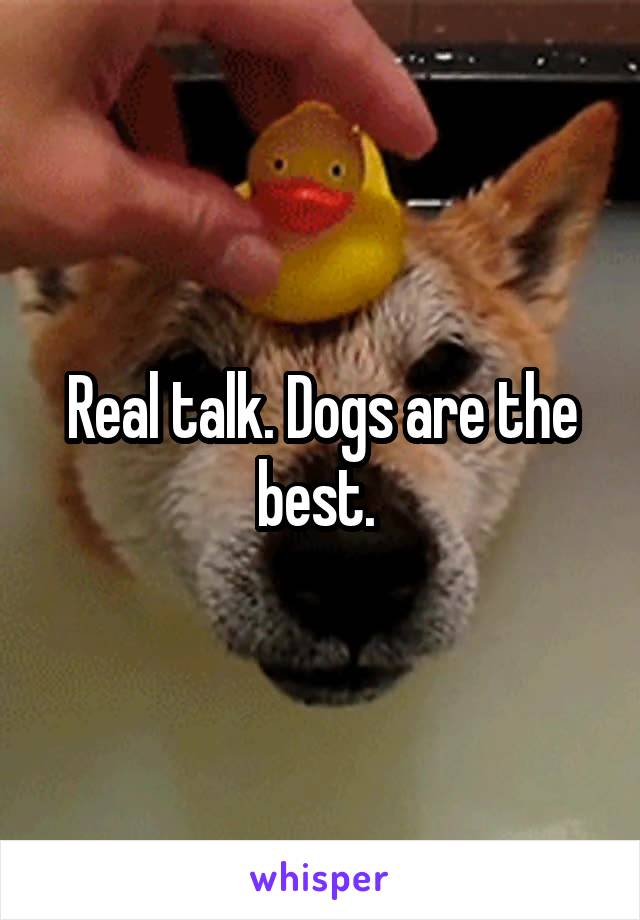 Real talk. Dogs are the best. 