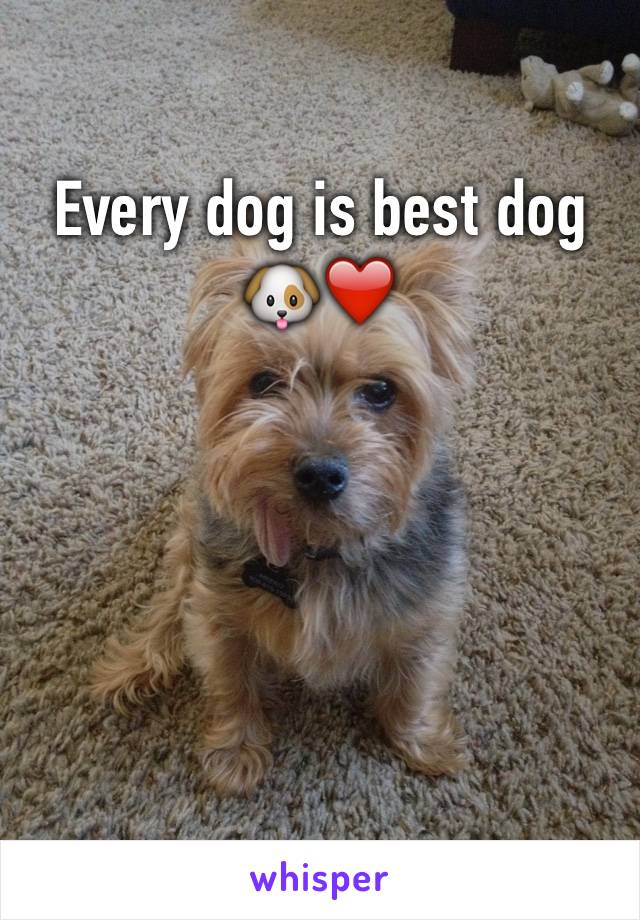 Every dog is best dog
🐶❤️