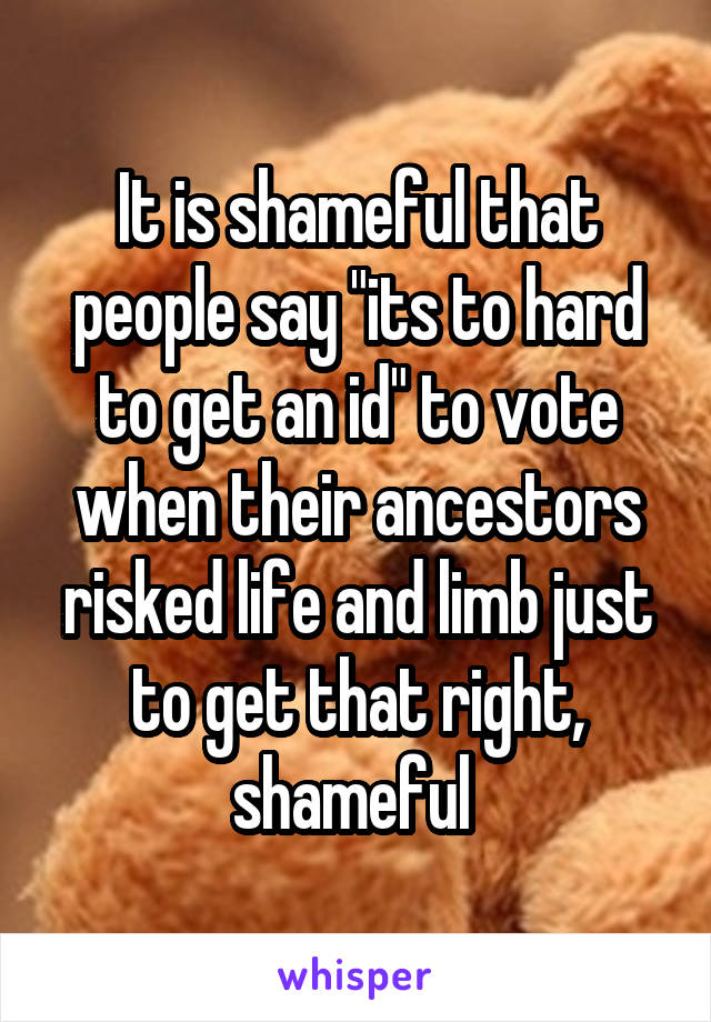 It is shameful that people say "its to hard to get an id" to vote when their ancestors risked life and limb just to get that right, shameful 