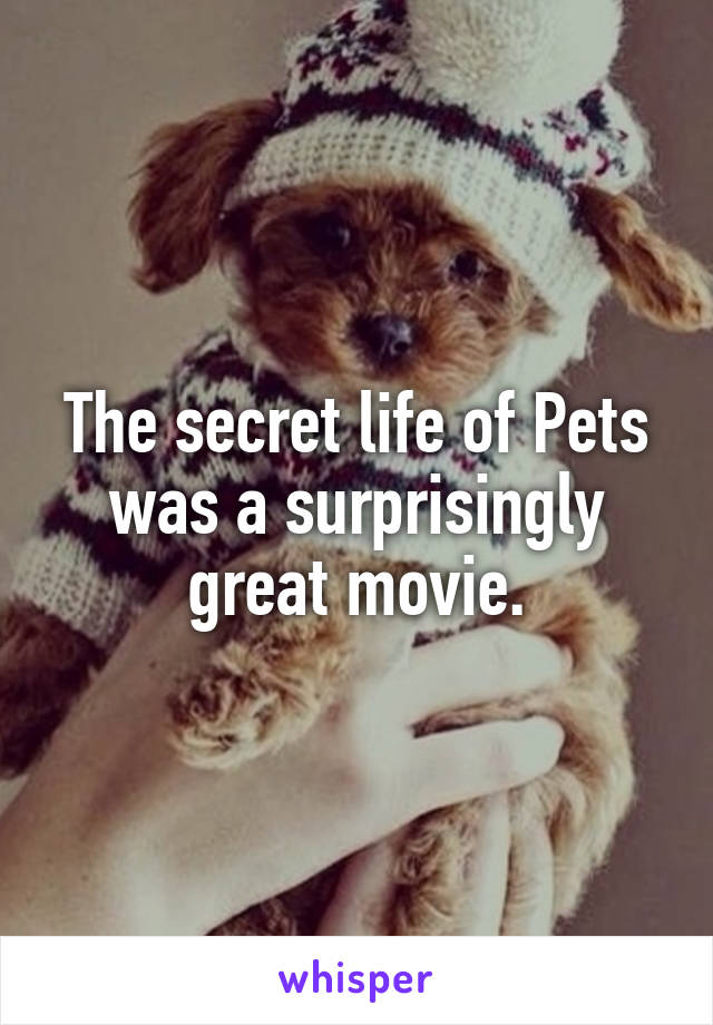 The secret life of Pets was a surprisingly great movie.