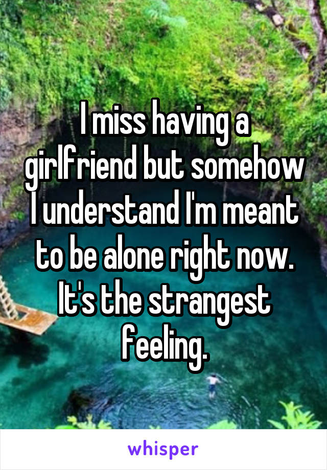 I miss having a girlfriend but somehow I understand I'm meant to be alone right now. It's the strangest feeling.
