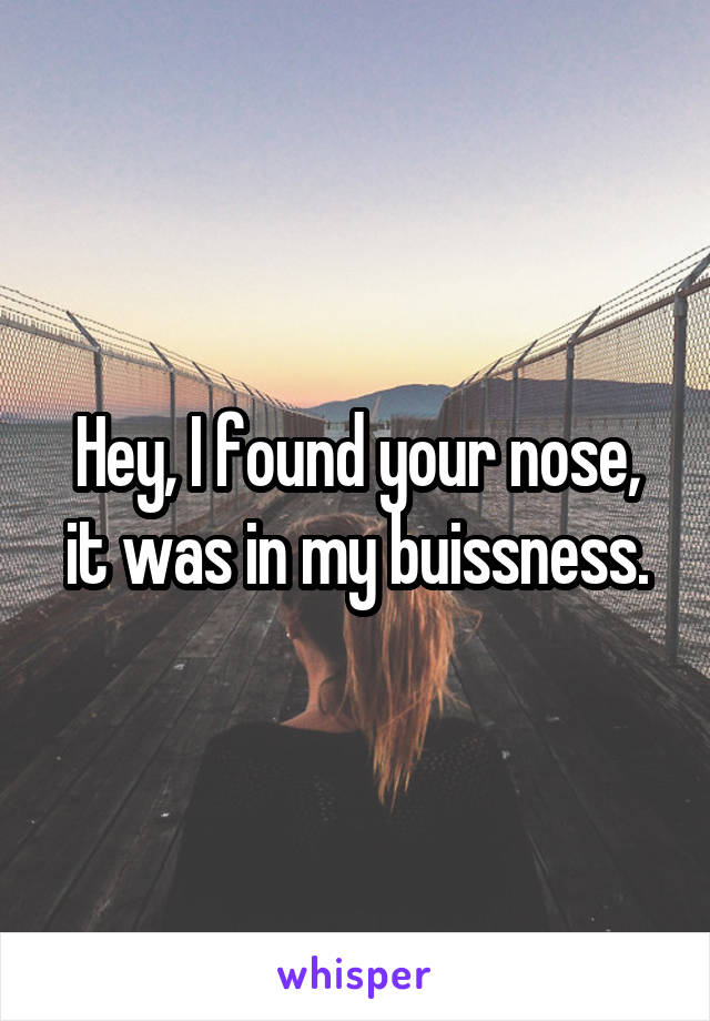 Hey, I found your nose, it was in my buissness.