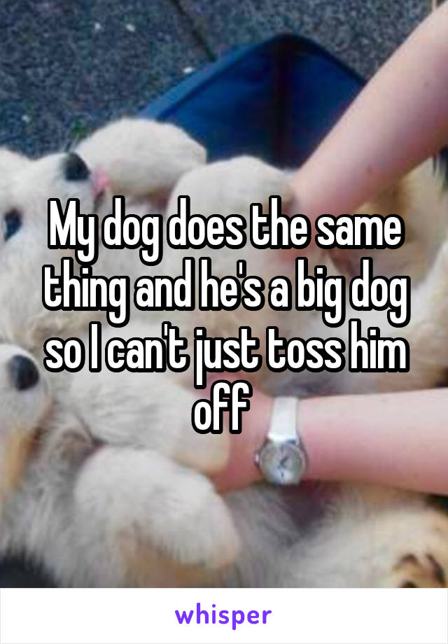 My dog does the same thing and he's a big dog so I can't just toss him off 