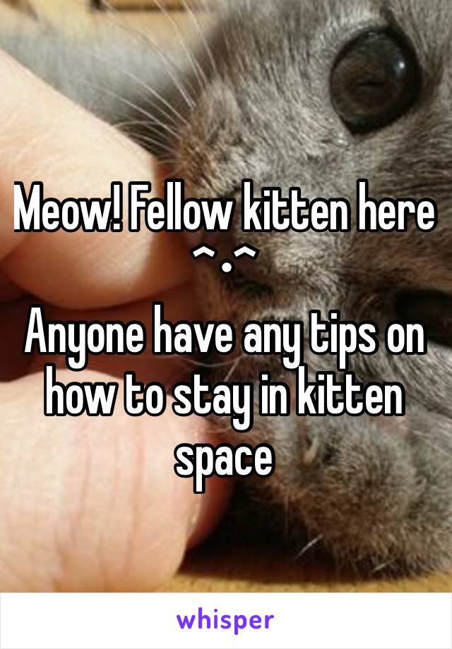 Meow! Fellow kitten here ^•^ 
Anyone have any tips on how to stay in kitten space 